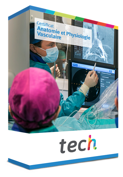 Certificat En Anatomie Et Physiologie Vasculaire Tech France