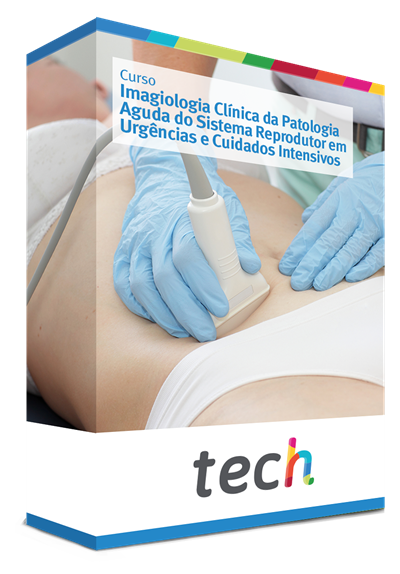 Curso De Imagiologia Cl Nica Da Patologia Aguda Do Sistema Reprodutor