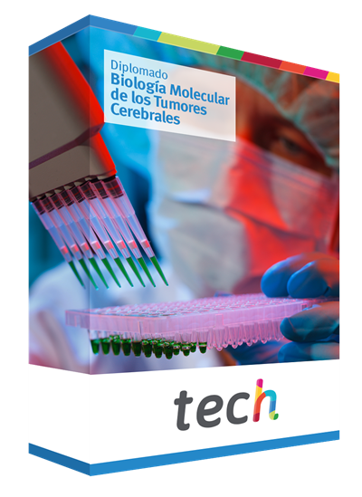 Diplomado En Biolog A Molecular De Los Tumores Cerebrales Tech M Xico