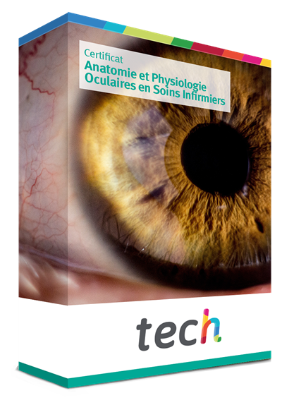 Certificat En Anatomie Et Physiologie Oculaires En Soins Infirmiers