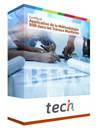 Certificat En Application De La M Thodologie Bim Dans Les Travaux