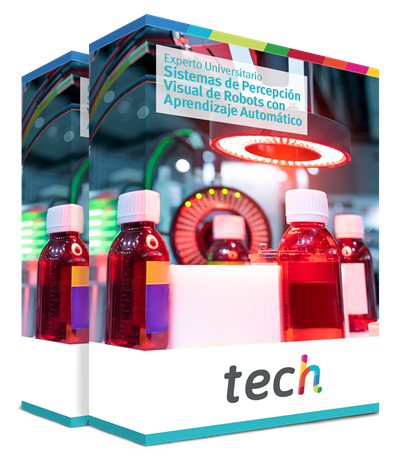 Especialización en Sistemas de Percepción Visual de Robots con