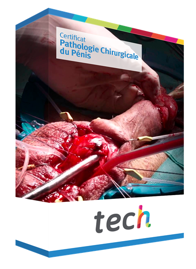 Certificat En Pathologie Chirurgicale Du P Nis Tech Togo