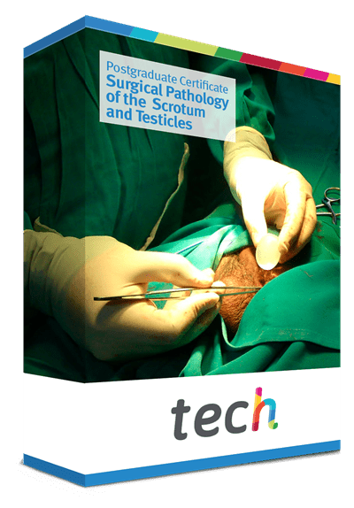 Postgraduate Certificate In Surgical Pathology Of The Scrotum And Testicles