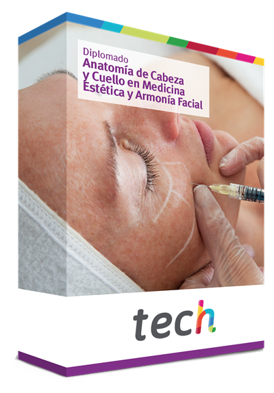 Diplomado En Anatomía De Cabeza Y Cuello En Medicina Estética Y Armonía Facial 2296