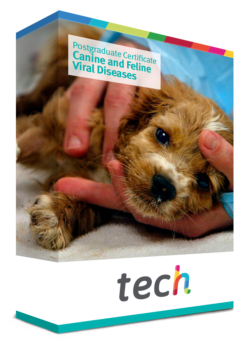 postgraduate-certificate-in-canine-and-feline-viral-diseases-tech