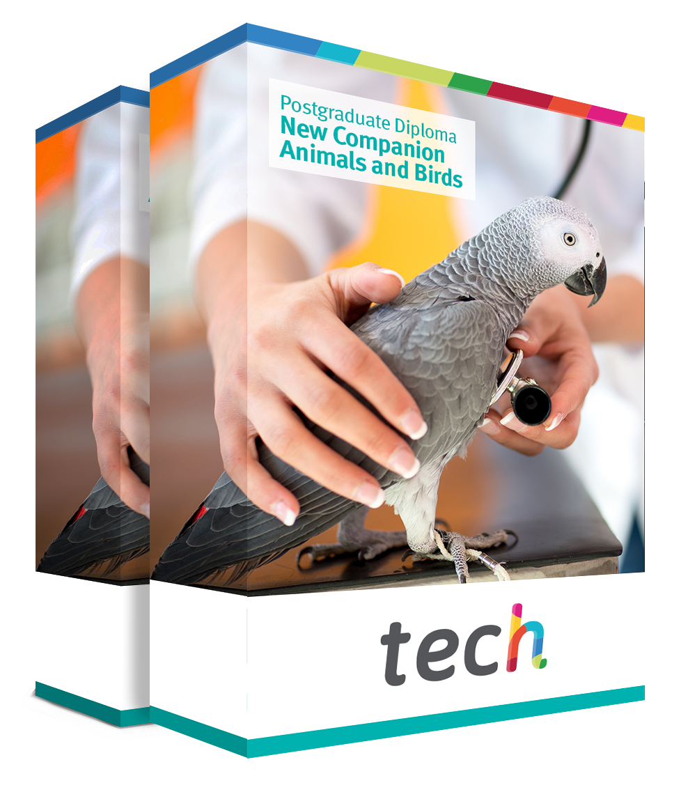 Postgraduate Diploma In New Companion Animals And Birds TECH United 